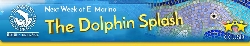 Dolphin Splash.jpg